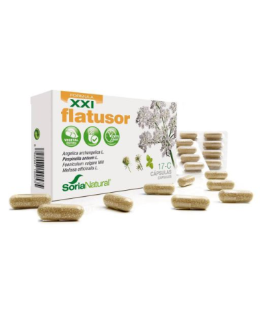 CAP C 17 FLATUSOR XXI ANG ANIS HINOJ MELIS 30CAP – foto del producto extracto liofilizado angélica