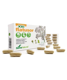 CAP C 17 FLATUSOR XXI ANG ANIS HINOJ MELIS 30CAP – foto del producto extracto liofilizado angélica