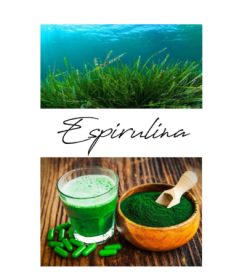 ESPIRULINA 60CAP ELEMENTALES – foto del producto espirulina 60cap elementales