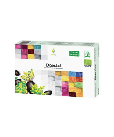 DIGESTAL 20AMP – foto del producto digestal 20amp ampolla