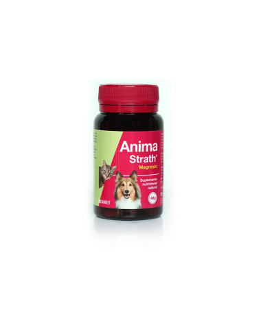 ANIMA STRATH PERROS Y GATOS 240COMP – foto del producto anima strath perros