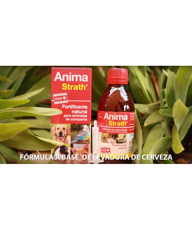 ANIMA STRATH MASCOTAS 250ML – foto del producto anima strath mascotas