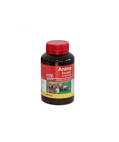 ANIMA STRATH MASCOTAS 1L – foto del producto anima strath mascotas
