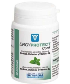 ERGYPROTECT CONF 60CAP – foto del producto ergyprotect conf 60cap