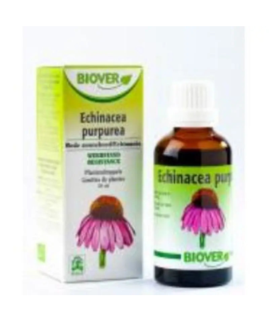 EXT ECHINACEA 50ML BOTANICAL BIO – foto del producto echinacea bio ext