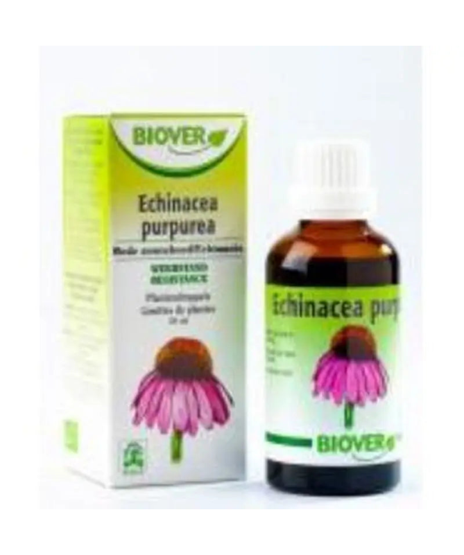 EXT ECHINACEA 50ML BOTANICAL BIO – foto del producto echinacea bio ext