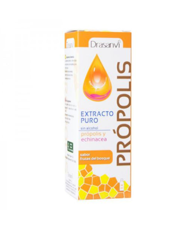 PROPOLIS EXTRACTO SIN ALCOHOL CON ECHINACEA 50ML – foto del producto echinacea angustifolia extracto