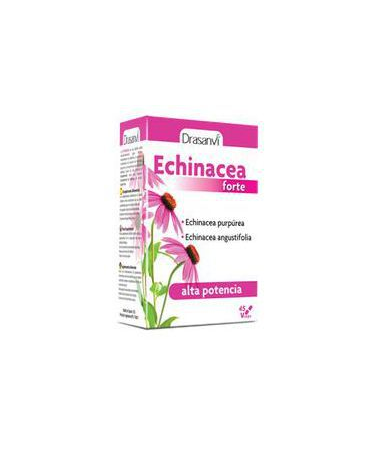 ECHINACEA FORTE 45CAP – foto del producto echinacea extracto seco