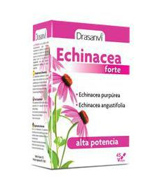 ECHINACEA FORTE 45CAP – foto del producto echinacea extracto seco
