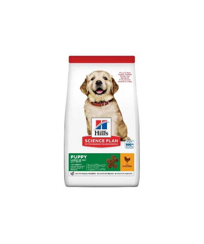 SP CANINE PUPPY LARGE POLLO 14