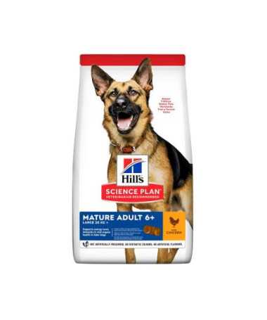SP CANINE MATURE 6+ LARGE POLLO 14KG