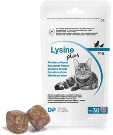 LYSINE PLUS 30 SNACKS X 2G