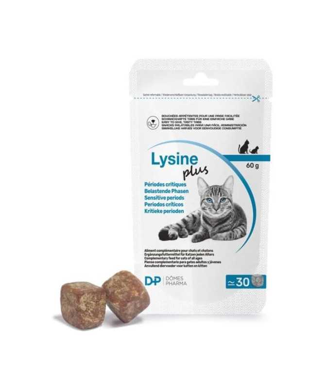 LYSINE PLUS 30 SNACKS X 2G
