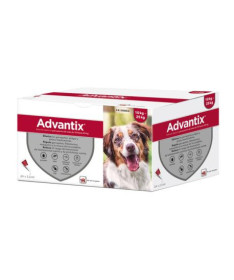 ADVANTIX SPOT ON PERRO 10KG-25KG PIP 24X2