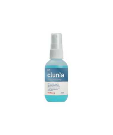 CLUNIA EASY DENT SPRAY 60ML