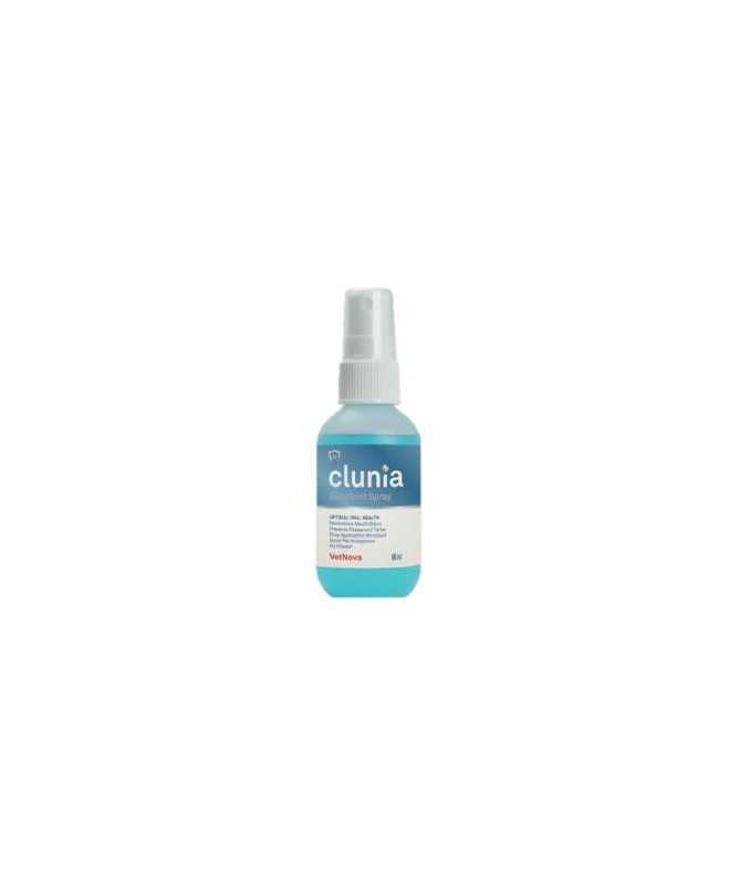 CLUNIA EASY DENT SPRAY 60ML
