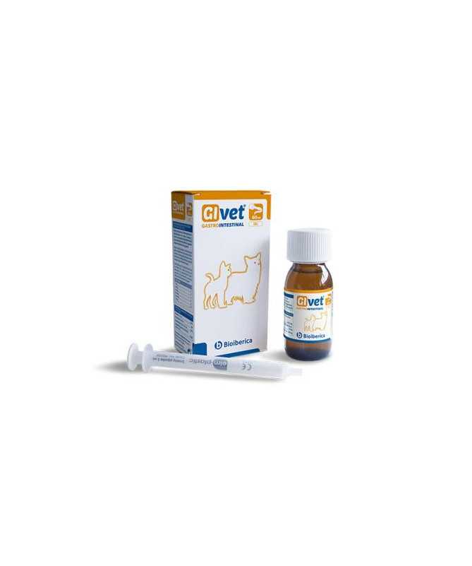 GIVET GEL GASTRO INTESTINAL 60 ML