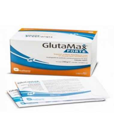 GLUTAMAX FORTE 120 COMPRIMIDOS