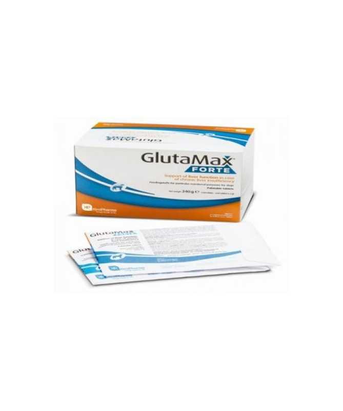 GLUTAMAX FORTE 120 COMPRIMIDOS
