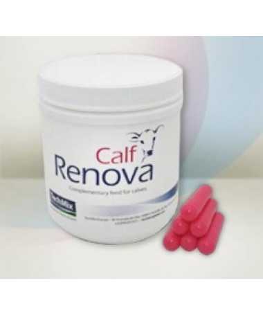 CALF RENOVA 5 G 12 BOLOS