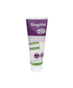 GINGIVET PASTA 100G