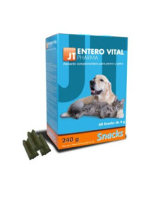 ENTEROVITAL SNACKS 240G 3X20X4G