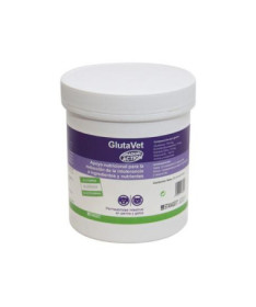 GLUTAVET 300 COMP BOTE