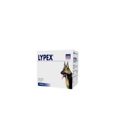 LYPEX 60 CAPSULAS