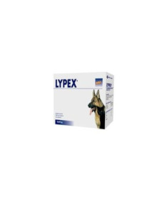LYPEX 60 CAPSULAS