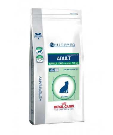 VCN NEUTERED ADULT SMALL DOG 3