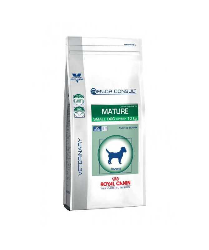 VCN MATURE SMALL DOG 1