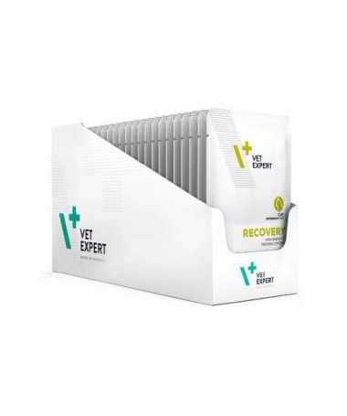 RECOVERY CAT POUCH 12X100G