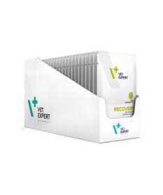 RECOVERY CAT POUCH 12X100G