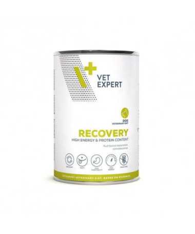 RECOVERY DOG LATA 6X400G