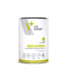 RECOVERY DOG LATA 6X400G