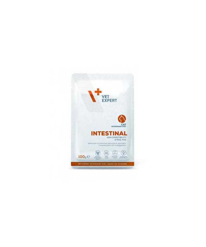 INTESTINAL CAT POUCH 12X100G