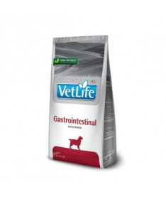 VETLIFE DOG GASTROINTESTINAL 12KG