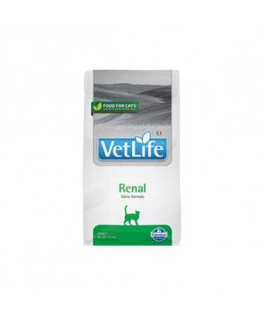 VETLIFE CAT RENAL 400G