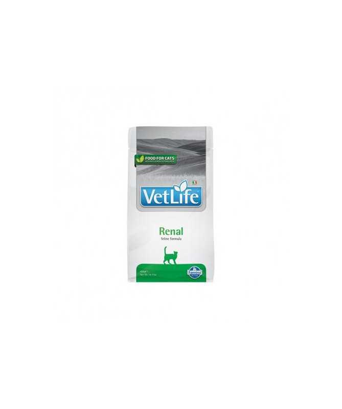VETLIFE CAT RENAL 400G