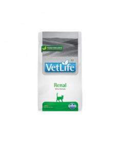VETLIFE CAT RENAL 400G