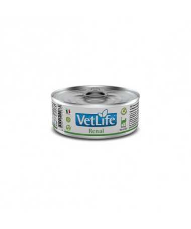 VETLIFE CAT RENAL 12X85G