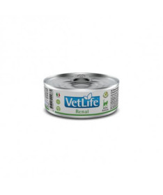 VETLIFE CAT RENAL 12X85G