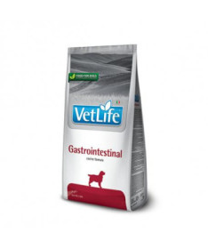 VETLIFE DOG GASTROINTESTINAL 2KG