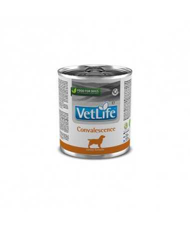 VETLIFE DOG CONVALESCENCE 6X300G
