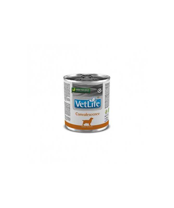 VETLIFE DOG CONVALESCENCE 6X300G