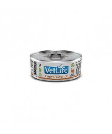 VETLIFE CAT CONVALESCENCE 12X85G