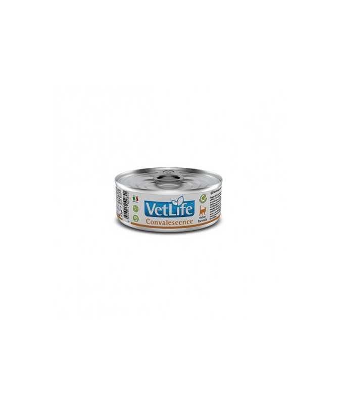 VETLIFE CAT CONVALESCENCE 12X85G