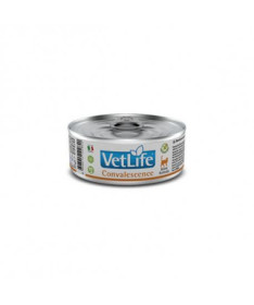 VETLIFE CAT CONVALESCENCE 12X85G