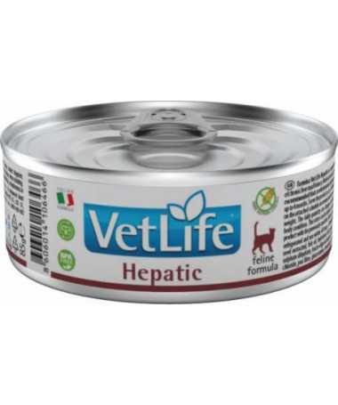 VETLIFE CAT HEPATIC 12X85G