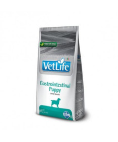 VETLIFE PUPPY GASTROINTESTINAL 2KG
